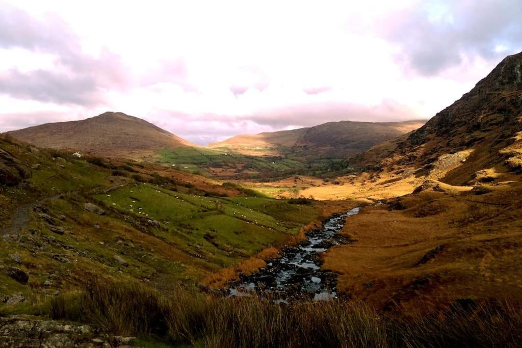 Secluded Cottage Nestled In The Beara Peninsula كيلارني المظهر الخارجي الصورة