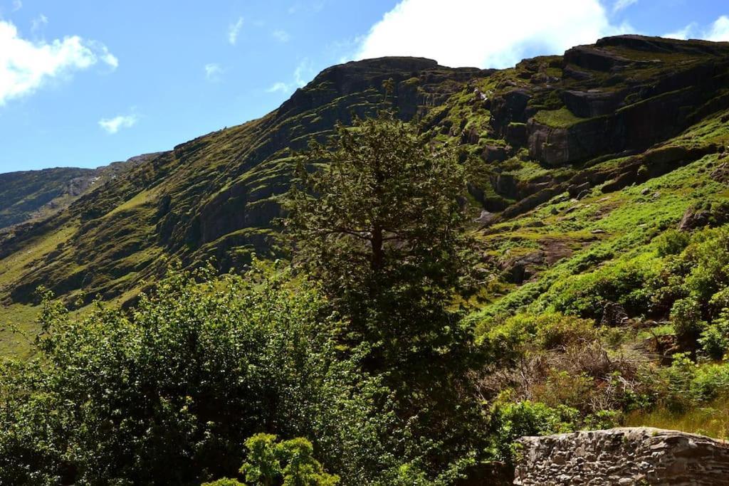 Secluded Cottage Nestled In The Beara Peninsula كيلارني المظهر الخارجي الصورة